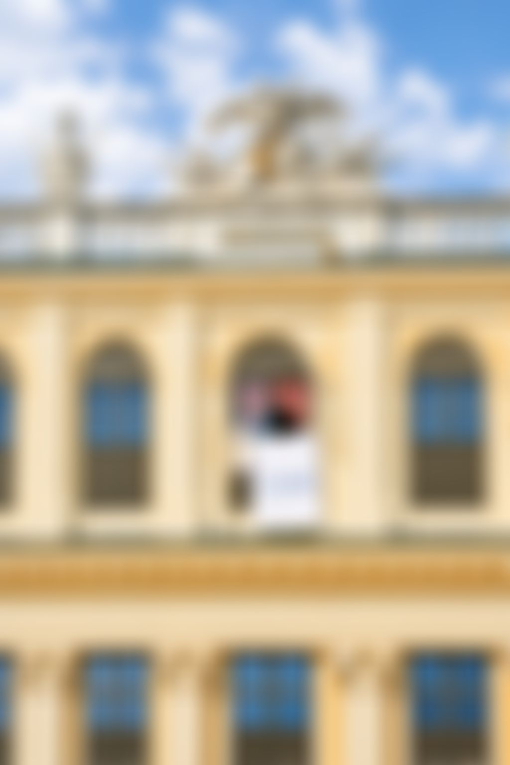 Hofburg with TÜV logo in the foreground